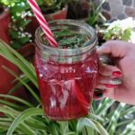 Rose Mojito | Simple Mug Beverage