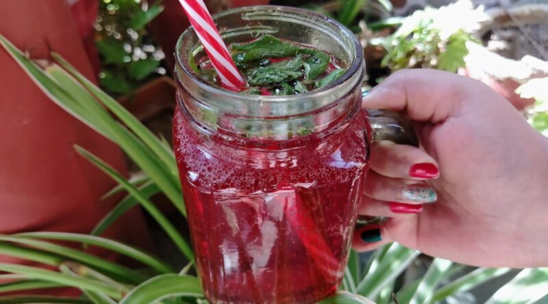 Rose Mojito | Simple Mug Beverage