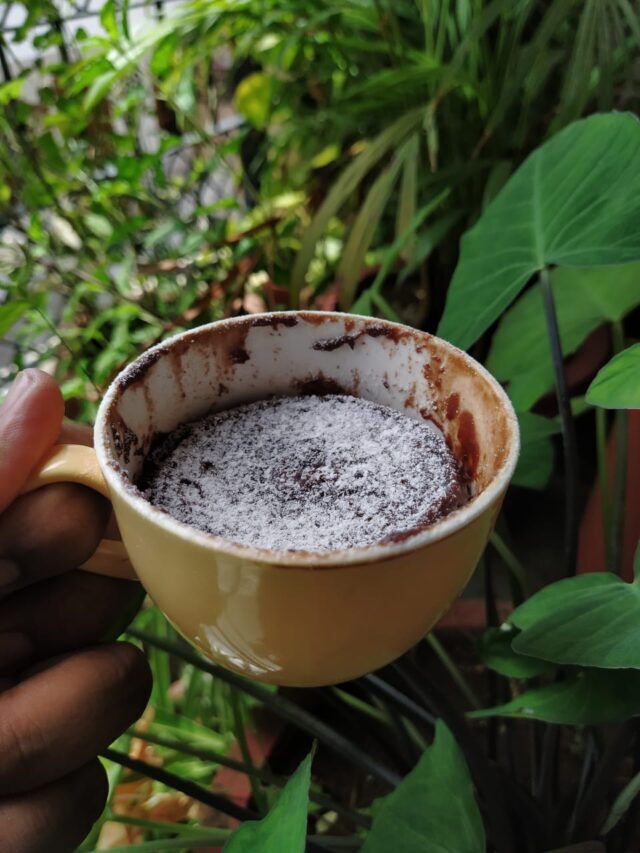 Two Ingredients Nutella Mug Cake Recipe