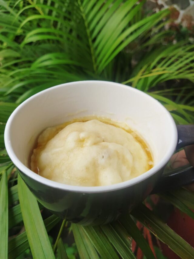 Mug Pancake Recipe